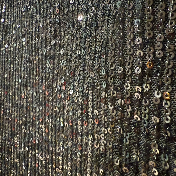 Anthropologie NWT Sequin midi skirt - Picture 3 of 3
